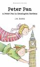 Peter pan (cl) - WORDSWORTH EDITIONS LIMITED