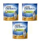 Petisco para Gatos Neslte Purina Dentalife 40g 3 Unidades Petisco para Gatos Neslte Purina Dentalife 40g 3 Unidades