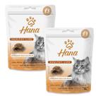 Petisco Snack Hana Gato Adulto Bola de Pelos 60g kit 2un