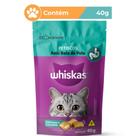Petisco Whiskas para Gatos Anti Bola de Pelo 40g