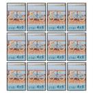 Photo Frame Snap 4x6 Black Front Loading, conjunto de 12