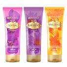 Phytoderm Phyto Lotion Hydra Leve 3 Pague 2 Kit - Hidratante Corporal + Hidratante Corporal + Hidratante Corporal