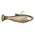 Pia lenta Lure Z-MAN Shadtron LT Swimbait Threadfin Shad 6