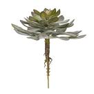 Pick Decorativo de Suculenta Vickerman Everyday 12.5 cm Verde Pick Decorativo de Suculenta Vickerman Everyday 12.5 cm Verde