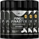 Picnogen Pinus Pinaster Procianidinas Extrato 5 Frascos 500 cáps