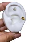 Piercing Abelha Prata 925 Original Tragus Cartilagem Hélix