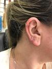 Piercing Argola 5 Pedras Ouro 18k Cartilagem Uma Peça Orelha