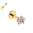 Piercing Estrela Brilhante Sem Rosca Titânio G23 Ouro PVD Cor:DouradoTamanho:6mm (P) Piercing Estrela Brilhante Sem Rosca Titânio G23 Ouro PVD Cor:DouradoTamanho:6mm (P)