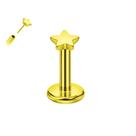 Piercing Estrela Orgânica Sem Rosca Titânio G23 Ouro PVD Cor:DouradoTamanho:6mm (P) Piercing Estrela Orgânica Sem Rosca Titânio G23 Ouro PVD Cor:DouradoTamanho:6mm (P)