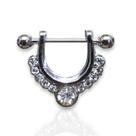 Piercing Ferradura Septo Nasal Sobrancelha E Lábios Strass