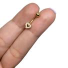 Piercing Intimo Coração Genital ou Rook Aço Cirúrgico