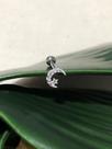 Piercing Lua Estrela haste em Prata 925