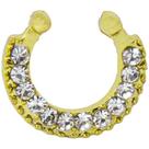 Piercing Nariz Argola Aço Cirurgico Septo Helix E Tragus