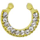 Piercing Nariz Argola Aço Cirurgico Septo Helix E Tragus
