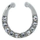 Piercing Nariz Argola Aço Cirurgico Septo Helix Tragus Prata