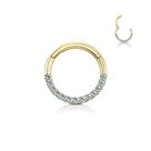 Piercing Titanio Argola Cravejada Mamilo Orelha