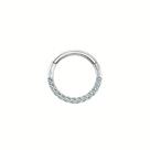 Piercing Titanio Argola Cravejada Mamilo Orelha Prata