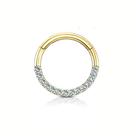 Piercing Titanio Argola Fecho Click Cravejada Mamilo Orelha Prata