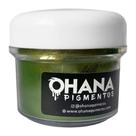 Pigmento Metálico Perolado para Resinas Verde Dourado 10g Pigmento Metálico Perolado para Resinas Verde Dourado 10g