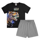 Pijama Menino Angerô Algodão Estampa Dinossauro Preto/Cinza