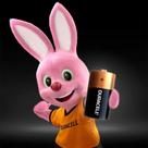 Pilha Alcalina Média C com 2 unidades Duracell