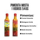 Pimenta mista com 5 sortidas 540g