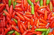 Pimenta Tabasco - 400mg De Sementes