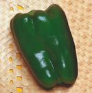 Pimentão Verde / Yolo Wonder - 400mg De Sementes