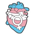 Pin Coração Trans