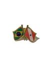Pin Da Bandeira Do Brasil X Pará Pin Da Bandeira Do Brasil X Pará