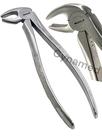 Pinça Dental Cynamed MD3 em Aço Inoxidável Alemão Pinça Dental Cynamed MD3 em Aço Inoxidável Alemão
