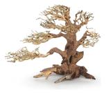 Pine Bonsai Fm Plantpro Bonsai Aquático Para Aquário Doce