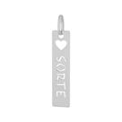 Pingente Aço Placa Feelings Sorte 28x6mm