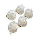 Pingente De Concha Branca Natural 5 Peças/conjunto 25-40mm, Charms Boho Para DIY Em Joias, Colares E Pingente De Concha Branca Natural 5 Peças/conjunto 25-40mm, Charms Boho Para DIY Em Joias, Colares E