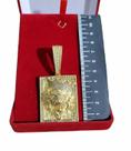 Pingente Leão Placa - Banhado a Ouro 18k