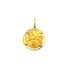 Pingente Leão Signos Com Aro em Ouro 18K K150