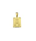 Pingente letra p - banhado a ouro 18k