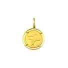 Pingente Peixes Signos Com Aro em Ouro 18K K150