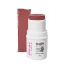 Pink cheeks blush all in one terracota fps30 fpuva10 4,5g