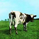 Pink floyd atom heart mother cd digipack - SONY MUSIC