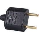 Pino Macho Margirus 2P 10A Pr - Kit C/10 Unidades Pino Macho Margirus 2P 10A Pr - Kit C/10 Unidades