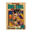 Pintura de pôster vintage Dragon Ball Z Anime Gotenks 30x42cm