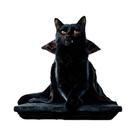Pintura Diamante DIY Gato Preto Na Lua Com Bordado De Strass, Mosaico Completo Quadrado E Redondo Pintura Diamante DIY Gato Preto Na Lua Com Bordado De Strass, Mosaico Completo Quadrado E Redondo