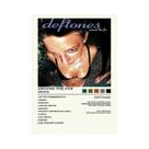 Pintura Em Tela De Álbum De Música Retrô Deftones, Arte De Parede, Pôster, Estética Clássica,