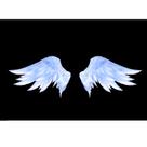 Pintura estética de parede Tapestry Wings 150x130cm Microtecido Pintura estética de parede Tapestry Wings 150x130cm Microtecido