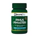 Pinus master 500mg 60 caps
