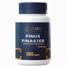 Pinus Pinaster 300mg - 120 Cápsulas para Bem-Estar e Ação Antioxidante Natural Pinus Pinaster 300mg - 120 Cápsulas para Bem-Estar e Ação Antioxidante Natural