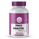 Pinus Pinaster 300mg 30 Caps Melhora Circulação E Imunidade