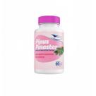 Pinus Pinaster - 60 Cápsulas- Global Suplementos