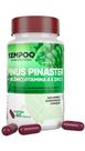 Pinus Pinaster 60 Cápsulas Kempoo Nutracêuticos Pinus Pinaster 60 Cápsulas Kempoo Nutracêuticos